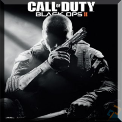 how to fix call of duty black ops 2 not launching